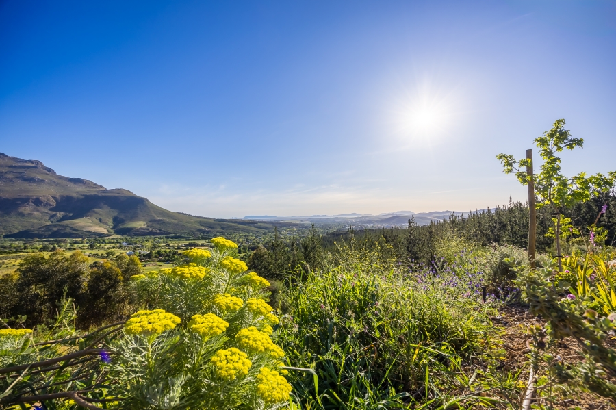0 Bedroom Property for Sale in Arbeidslus Western Cape